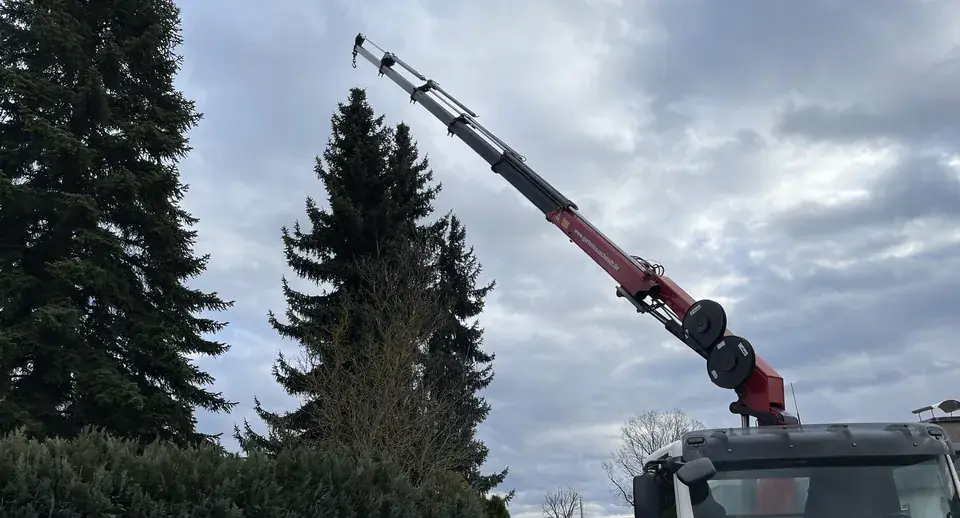 Baumpflege an hohen Tannen mit Hilfe des Kran-LKW
