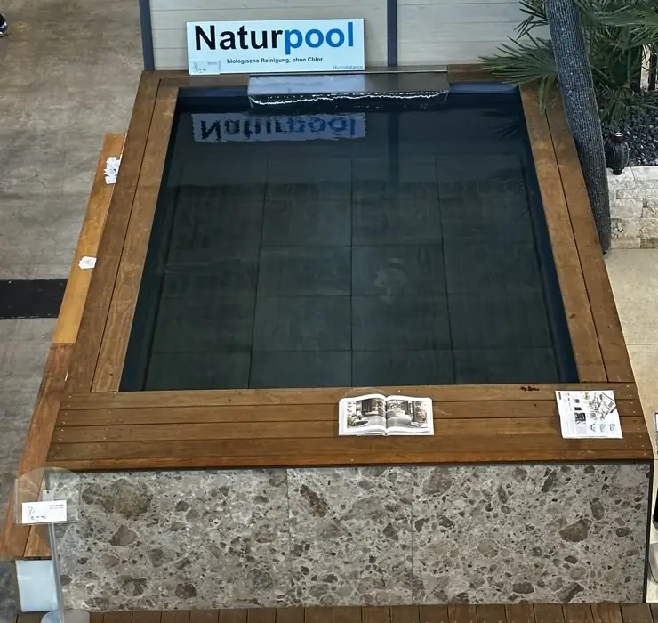 Naturpool von oben mit Holzrand und Verkleidung aus Naturstein