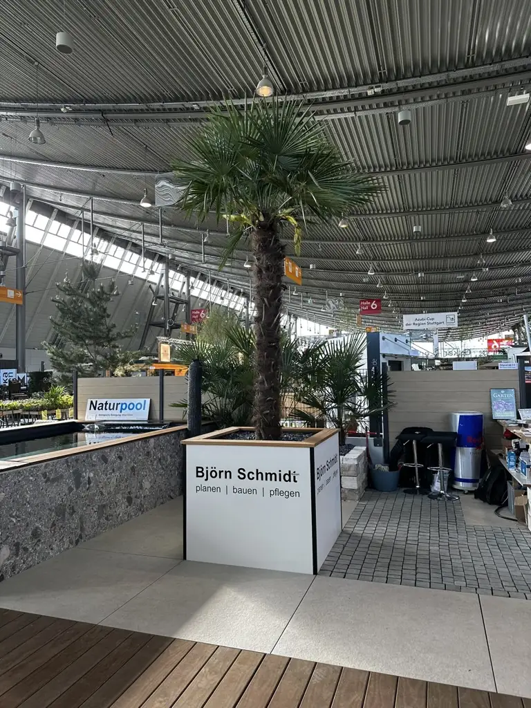 Messestand mit Palme im Pflanzkübel, Großformatplatten und Holzdeck in der Messehalle