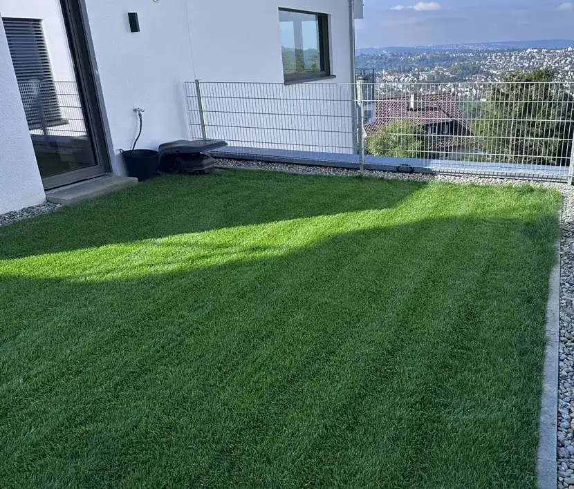 Dichter, frisch gemähter Rasen