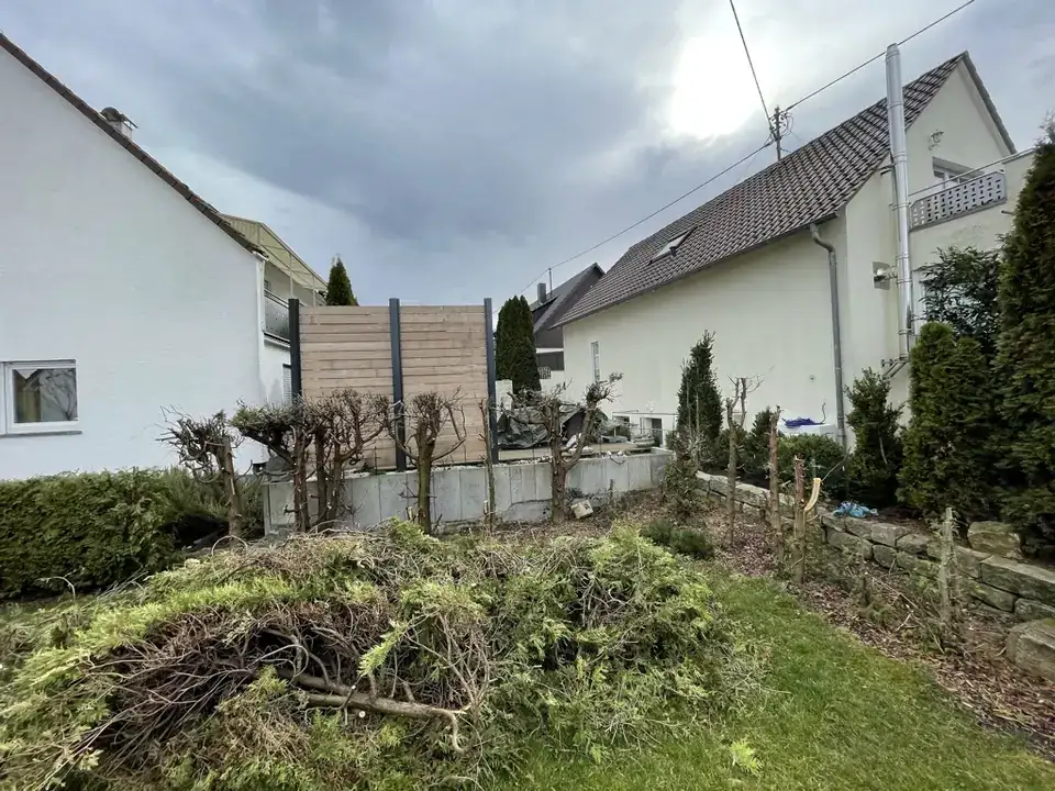 Vorher: alte Hecke gerodet, Schnittgut auf dem Rasen, kahle Stämme und ein einzelnes Sichtschutzelement